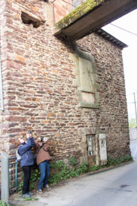 Sortie photo aux étangs d'Apigné