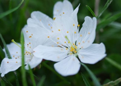 Concours photo étangs Apigné